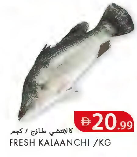 available at  روابي ماركت عجمان in الإمارات العربية المتحدة , الامارات - الشارقة / عجمان