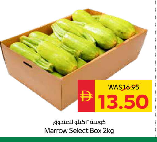 Marrow available at سبار هايبرماركت in الإمارات العربية المتحدة , الامارات - أبو ظبي