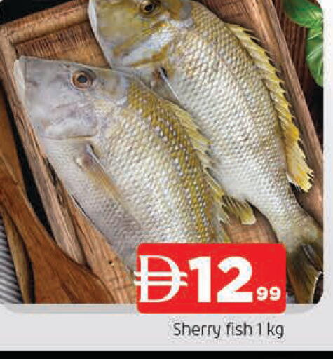 available at المدينة in الإمارات العربية المتحدة , الامارات - الشارقة / عجمان