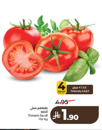 Tomato from Saudi Arabia available at لولو هايبرماركت in مملكة العربية السعودية, السعودية, سعودية - تبوك