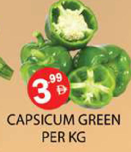 Capsicum available at زين مارت سوبرماركت in الإمارات العربية المتحدة , الامارات - رَأْس ٱلْخَيْمَة
