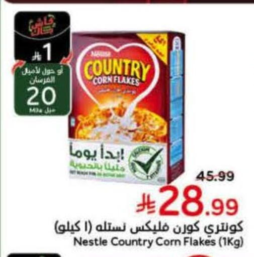 available at هايبر بنده in مملكة العربية السعودية, السعودية, سعودية - تبوك