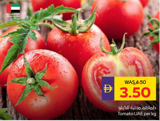 Tomato available at أدكووب in الإمارات العربية المتحدة , الامارات - رَأْس ٱلْخَيْمَة