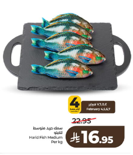 available at لولو هايبرماركت in مملكة العربية السعودية, السعودية, سعودية - تبوك