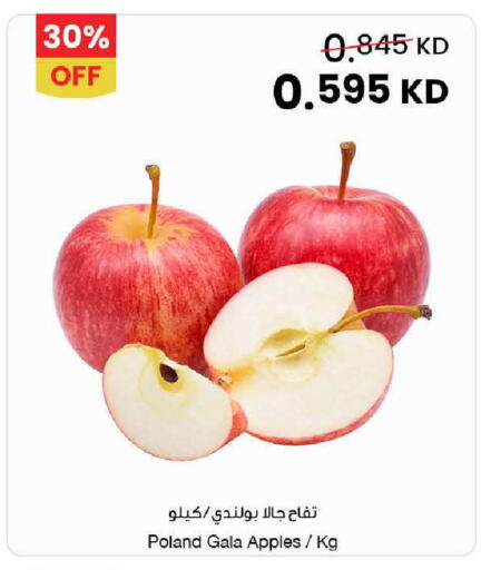 from Poland available at مركز سلطان in الكويت - محافظة الأحمدي