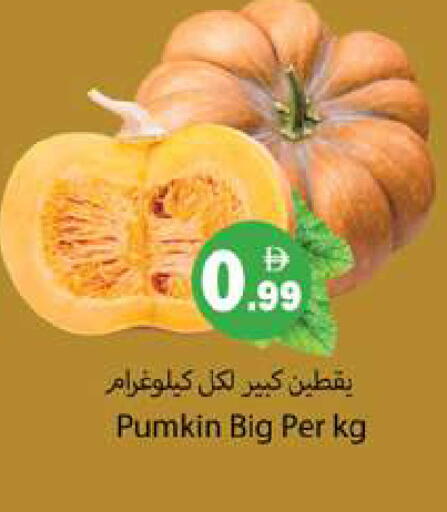 Pumkin available at جلف هايبرماركت ذ.م.م in الإمارات العربية المتحدة , الامارات - رَأْس ٱلْخَيْمَة