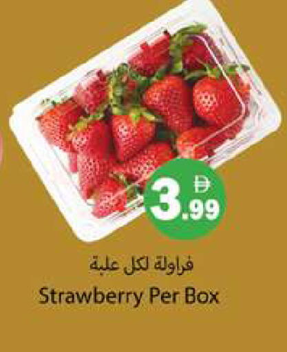 Strawberry available at جلف هايبرماركت ذ.م.م in الإمارات العربية المتحدة , الامارات - رَأْس ٱلْخَيْمَة