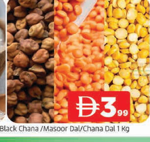 available at المدينة in الإمارات العربية المتحدة , الامارات - الشارقة / عجمان