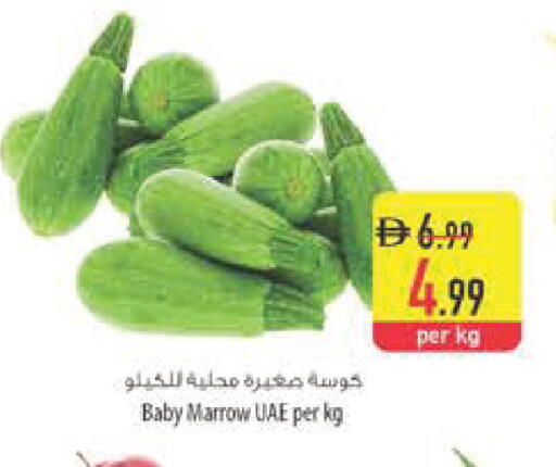 Marrow available at السفير ماركت in الإمارات العربية المتحدة , الامارات - رَأْس ٱلْخَيْمَة