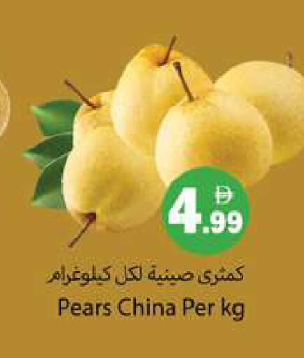 from China available at جلف هايبرماركت ذ.م.م in الإمارات العربية المتحدة , الامارات - رَأْس ٱلْخَيْمَة