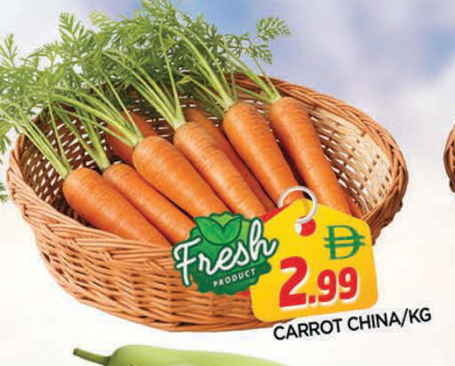 Carrot from China available at المدينة in الإمارات العربية المتحدة , الامارات - الشارقة / عجمان