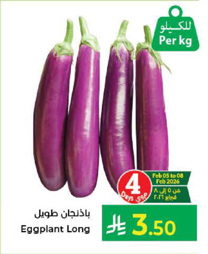 Eggplant available at كبايان هايبرماركت in مملكة العربية السعودية, السعودية, سعودية - جدة