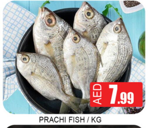 available at لكي سنتر in الإمارات العربية المتحدة , الامارات - الشارقة / عجمان