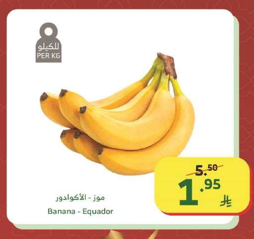 Banana available at Al Raya in KSA, Saudi Arabia, Saudi - Tabuk