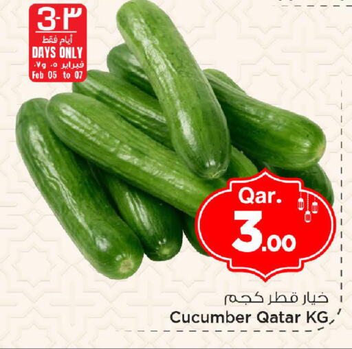 Cucumber from Qatar available at مارك & سيف in قطر - الوكرة