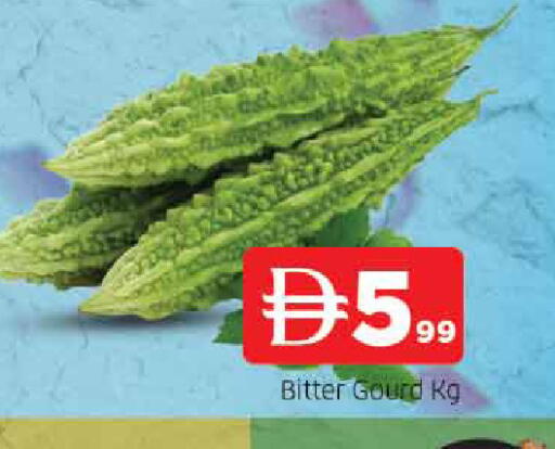 available at المدينة in الإمارات العربية المتحدة , الامارات - الشارقة / عجمان