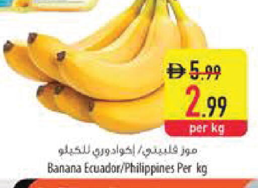 Banana from Ecuador Philippines available at Safeer Market in UAE - Sharjah / Ajman