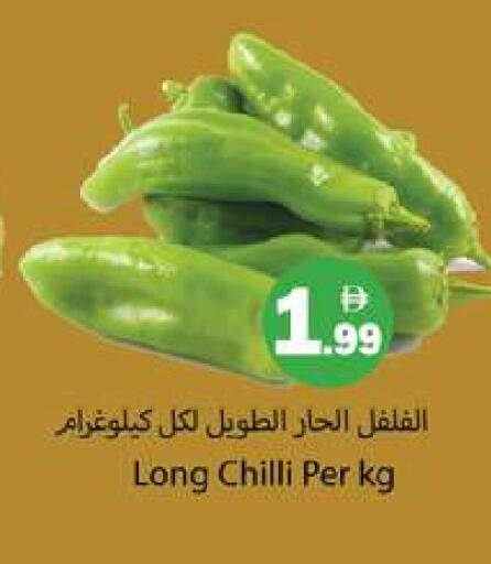 Chilli available at جلف هايبرماركت ذ.م.م in الإمارات العربية المتحدة , الامارات - رَأْس ٱلْخَيْمَة