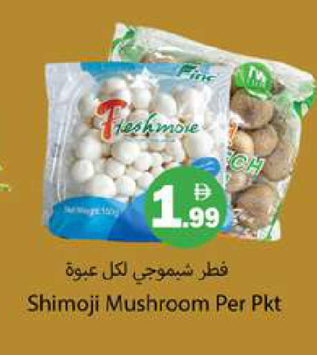 Mushroom available at جلف هايبرماركت ذ.م.م in الإمارات العربية المتحدة , الامارات - رَأْس ٱلْخَيْمَة