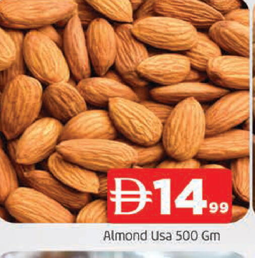 available at المدينة in الإمارات العربية المتحدة , الامارات - الشارقة / عجمان