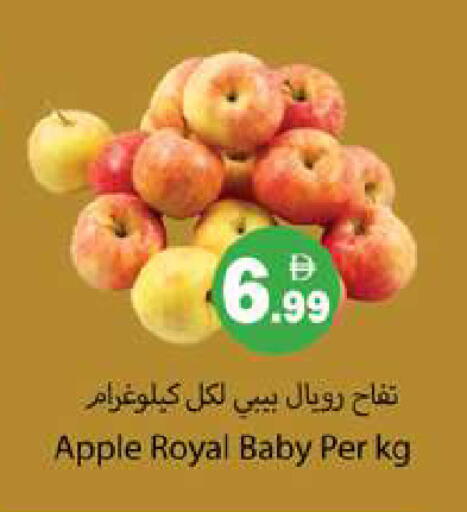 Apple available at Gulf Hypermarket LLC in UAE - Ras al Khaimah