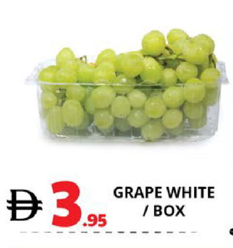 available at EXPRESS AL MADEENA HYPERMARKET LLC in UAE - Abu Dhabi