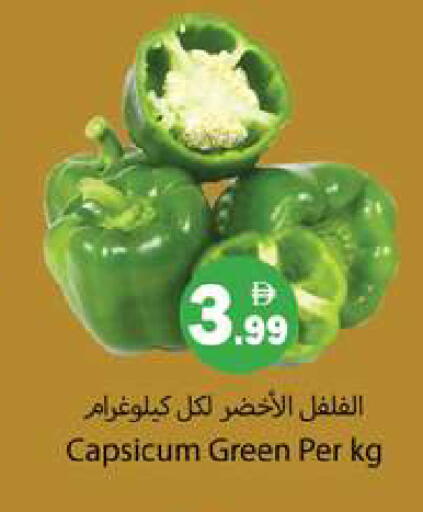 Capsicum available at جلف هايبرماركت ذ.م.م in الإمارات العربية المتحدة , الامارات - رَأْس ٱلْخَيْمَة