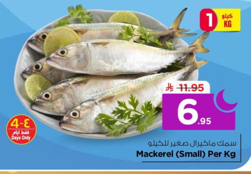 available at نستو in مملكة العربية السعودية, السعودية, سعودية - الخبر‎