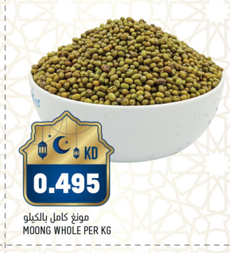 available at أونكوست in الكويت - محافظة الأحمدي