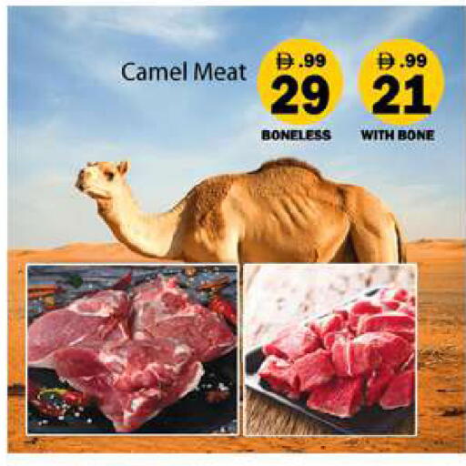 available at جلف هايبرماركت ذ.م.م in الإمارات العربية المتحدة , الامارات - رَأْس ٱلْخَيْمَة