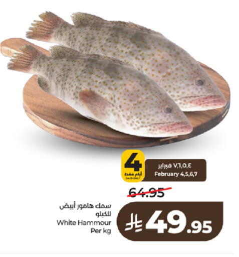 available at لولو هايبرماركت in مملكة العربية السعودية, السعودية, سعودية - تبوك