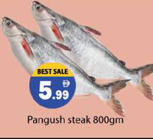 available at جلف هايبرماركت ذ.م.م in الإمارات العربية المتحدة , الامارات - رَأْس ٱلْخَيْمَة