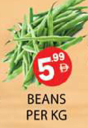 available at زين مارت سوبرماركت in الإمارات العربية المتحدة , الامارات - رَأْس ٱلْخَيْمَة