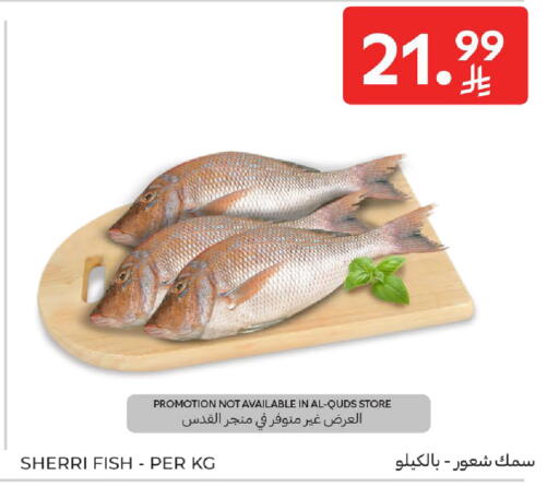 available at Carrefour in KSA, Saudi Arabia, Saudi - Al Khobar