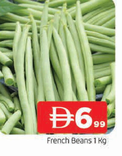 from France available at المدينة in الإمارات العربية المتحدة , الامارات - الشارقة / عجمان