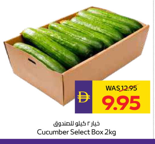 Cucumber available at أدكووب in الإمارات العربية المتحدة , الامارات - رَأْس ٱلْخَيْمَة