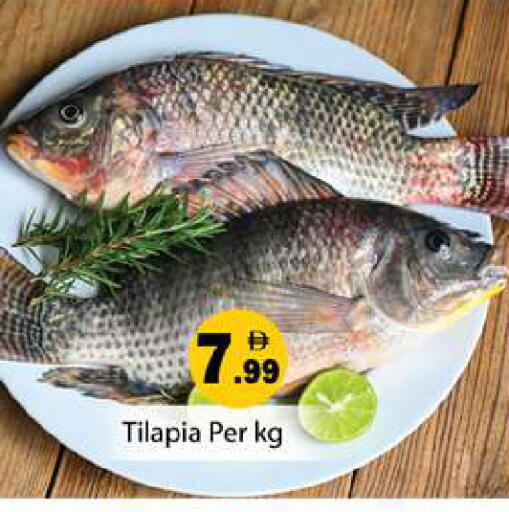 available at جلف هايبرماركت ذ.م.م in الإمارات العربية المتحدة , الامارات - رَأْس ٱلْخَيْمَة