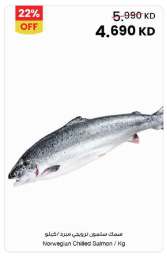 available at The Sultan Center in Kuwait - Ahmadi Governorate