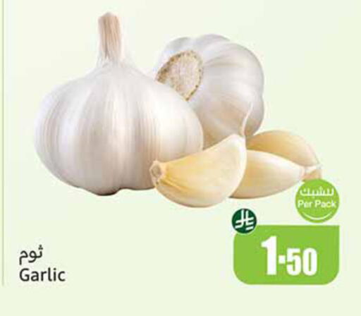Garlic available at أسواق عبد الله العثيم in مملكة العربية السعودية, السعودية, سعودية - سكاكا