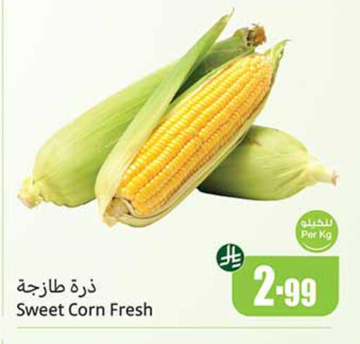 available at أسواق عبد الله العثيم in مملكة العربية السعودية, السعودية, سعودية - سكاكا
