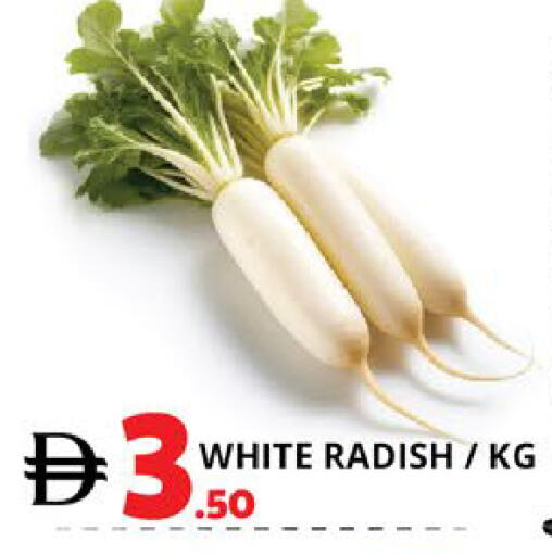 Radish available at EXPRESS AL MADEENA HYPERMARKET LLC in UAE - Abu Dhabi