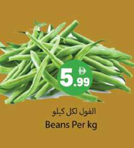 available at جلف هايبرماركت ذ.م.م in الإمارات العربية المتحدة , الامارات - رَأْس ٱلْخَيْمَة