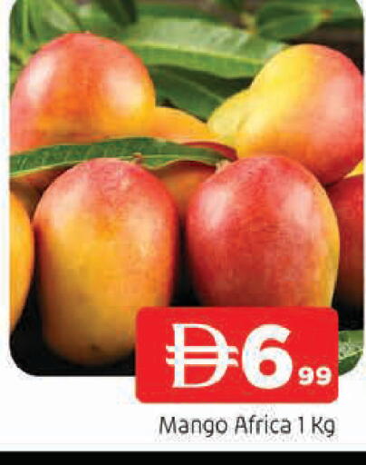 Mango available at المدينة in الإمارات العربية المتحدة , الامارات - الشارقة / عجمان