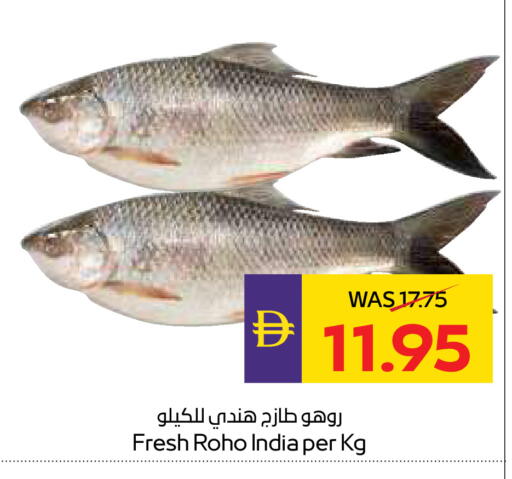 available at ADCOOP in UAE - Ras al Khaimah