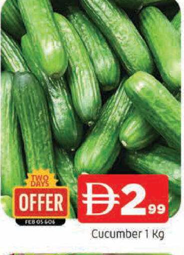 Cucumber available at المدينة in الإمارات العربية المتحدة , الامارات - الشارقة / عجمان