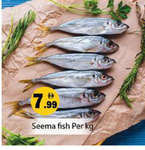 available at جلف هايبرماركت ذ.م.م in الإمارات العربية المتحدة , الامارات - رَأْس ٱلْخَيْمَة