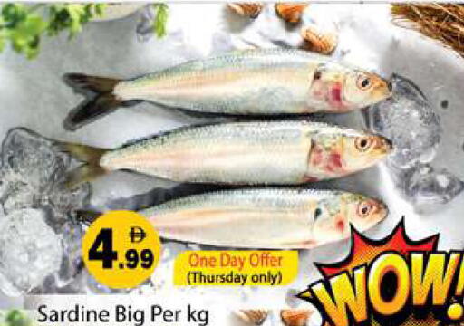 available at جلف هايبرماركت ذ.م.م in الإمارات العربية المتحدة , الامارات - رَأْس ٱلْخَيْمَة