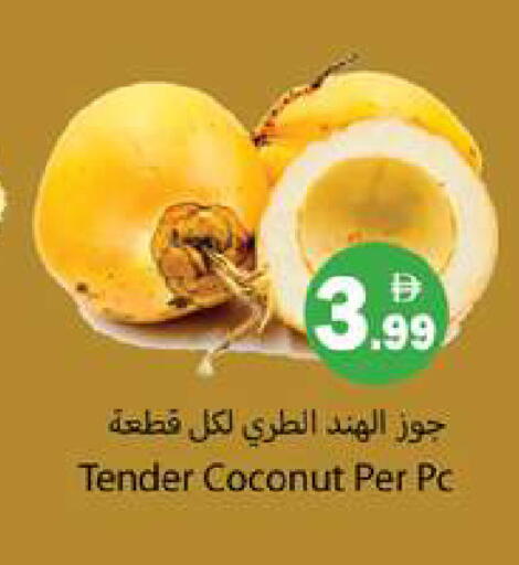 Coconut available at جلف هايبرماركت ذ.م.م in الإمارات العربية المتحدة , الامارات - رَأْس ٱلْخَيْمَة