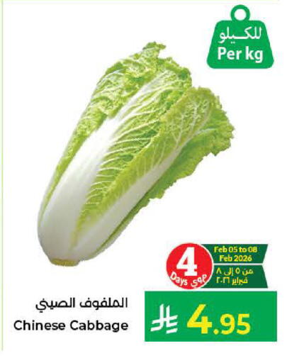 Cabbage from China available at كبايان هايبرماركت in مملكة العربية السعودية, السعودية, سعودية - جدة