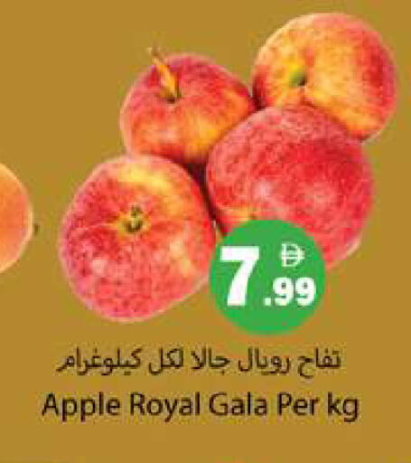 Apple available at Gulf Hypermarket LLC in UAE - Ras al Khaimah